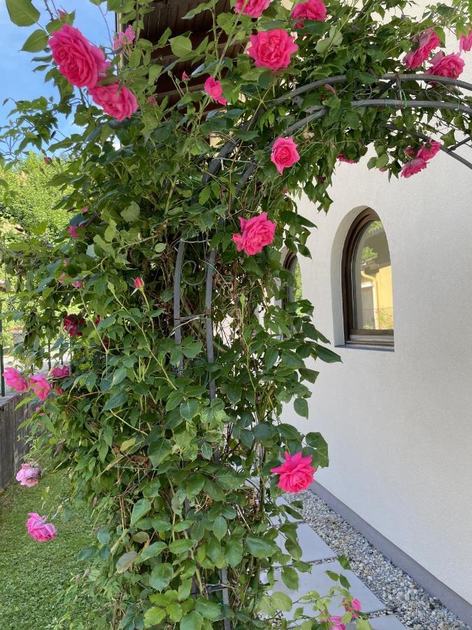 Appartement Erlbacher Lungötz Zewnętrze zdjęcie