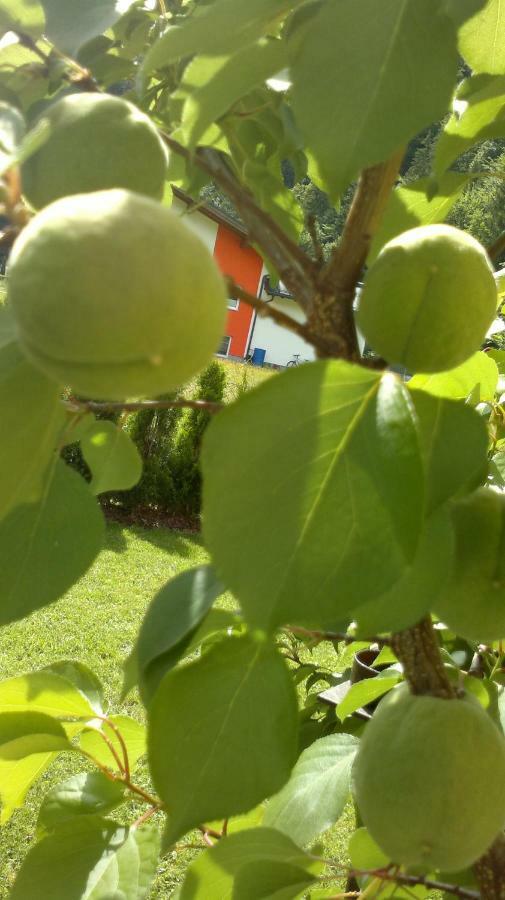 Appartement Erlbacher Lungötz Zewnętrze zdjęcie